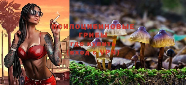 твердый Киренск