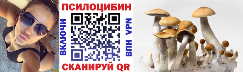 Псилоцибиновые грибы Psilocybe  Купить где  Заводоуковск 